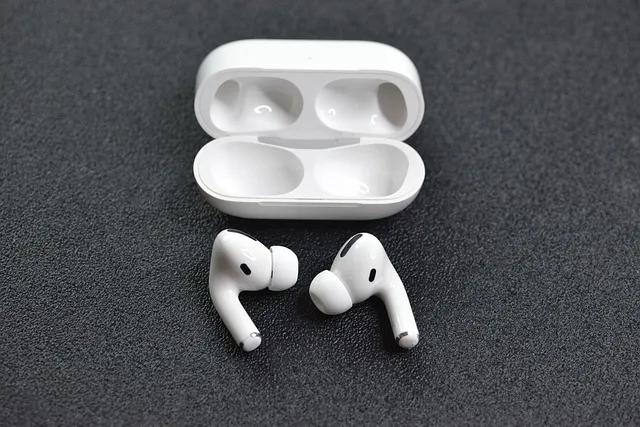 earphones earbuds